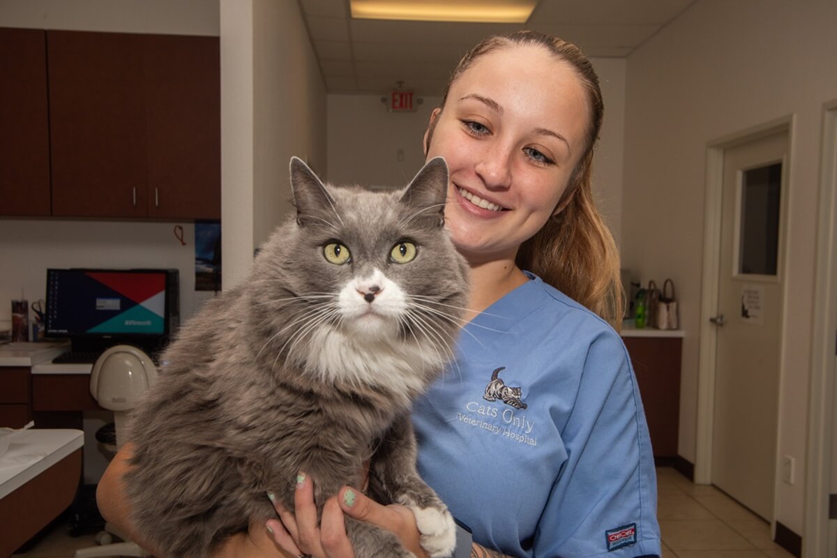 New Client Success | Cats Only Veterinary Hospital