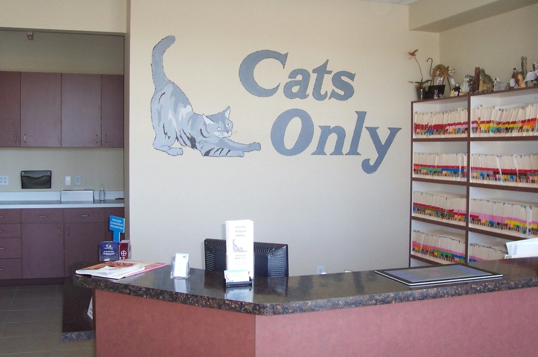 Cats Only Veterinary Hospital front desk