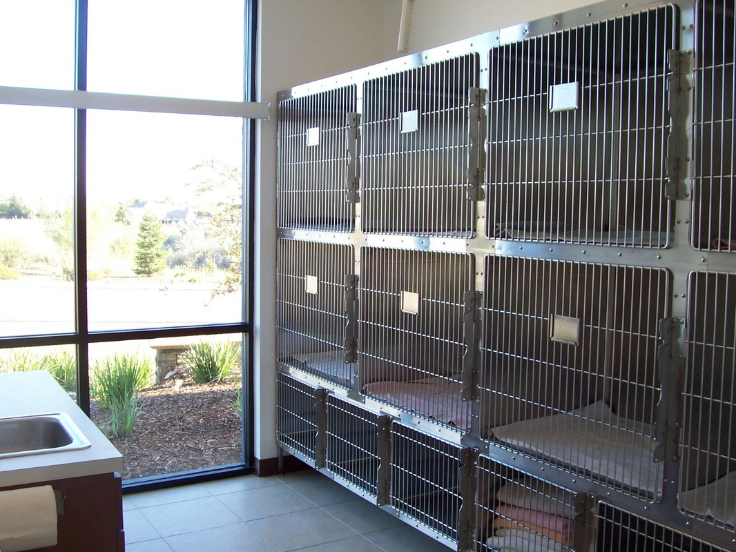 Cats Only Veterinary Hospital kennels