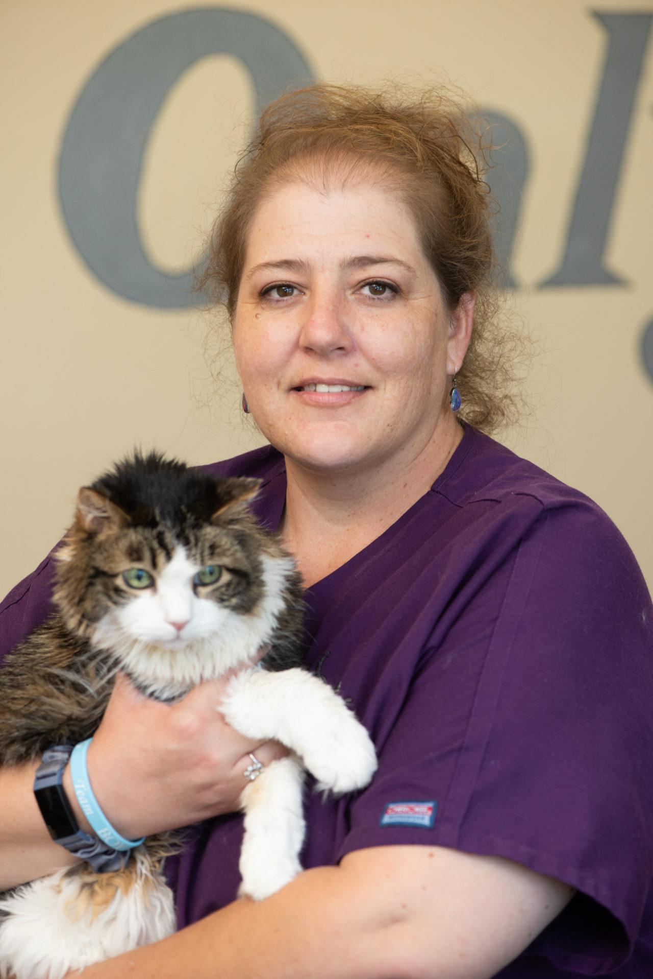 Petco Vet Hospital - b1y1ptc