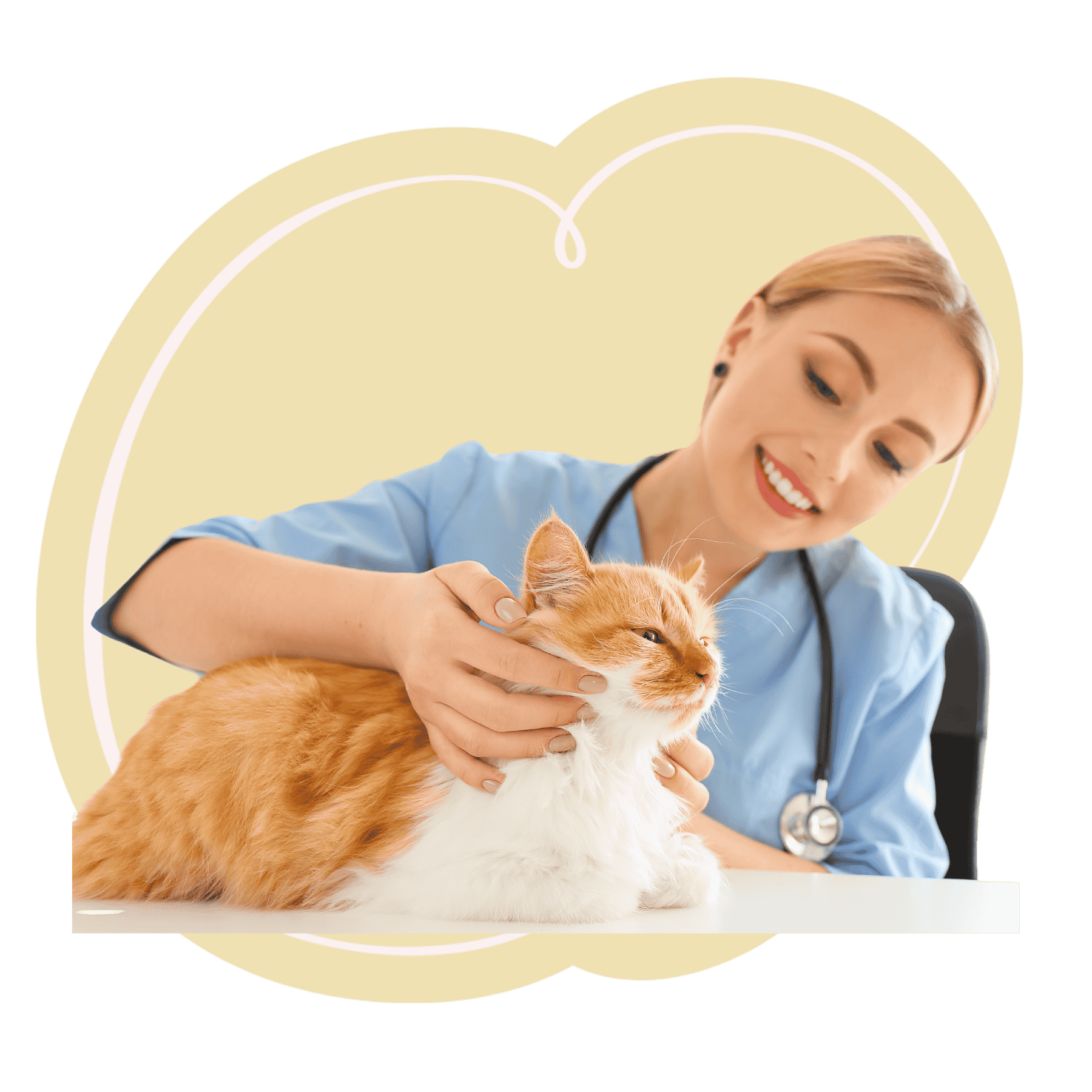 a veterinarian gently petting a cat