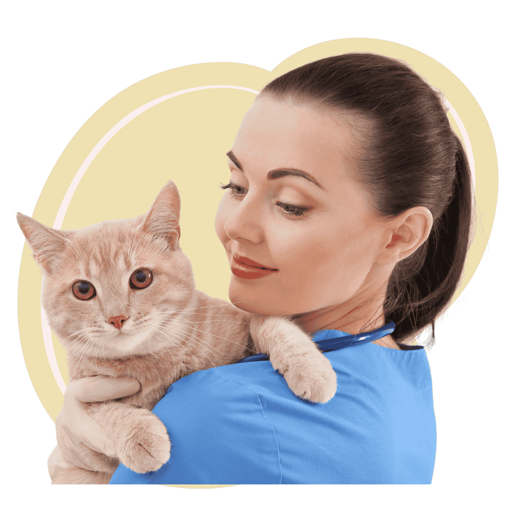 a veterinarian gently cradles a cat in her arms